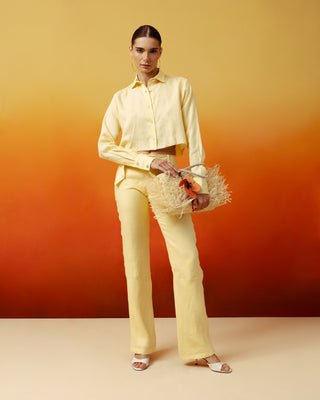 Long Sleeve Cropped Shirt